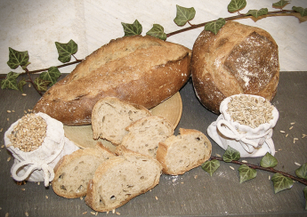 recette farine pain de campagne mélangée