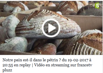 Emission sur france 5 sur le pain et sa composition