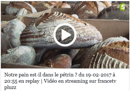 Emission sur france 5 sur le pain et sa composition